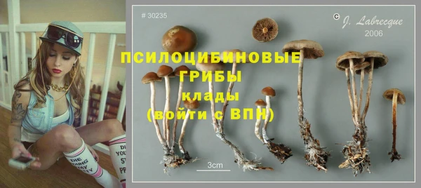 стаф Волосово