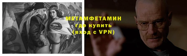 стаф Волосово