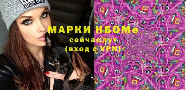 стаф Волосово