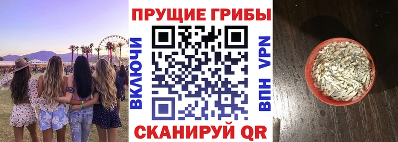 omg ссылка  где найти   Калач-на-Дону  Псилоцибиновые грибы GOLDEN TEACHER 